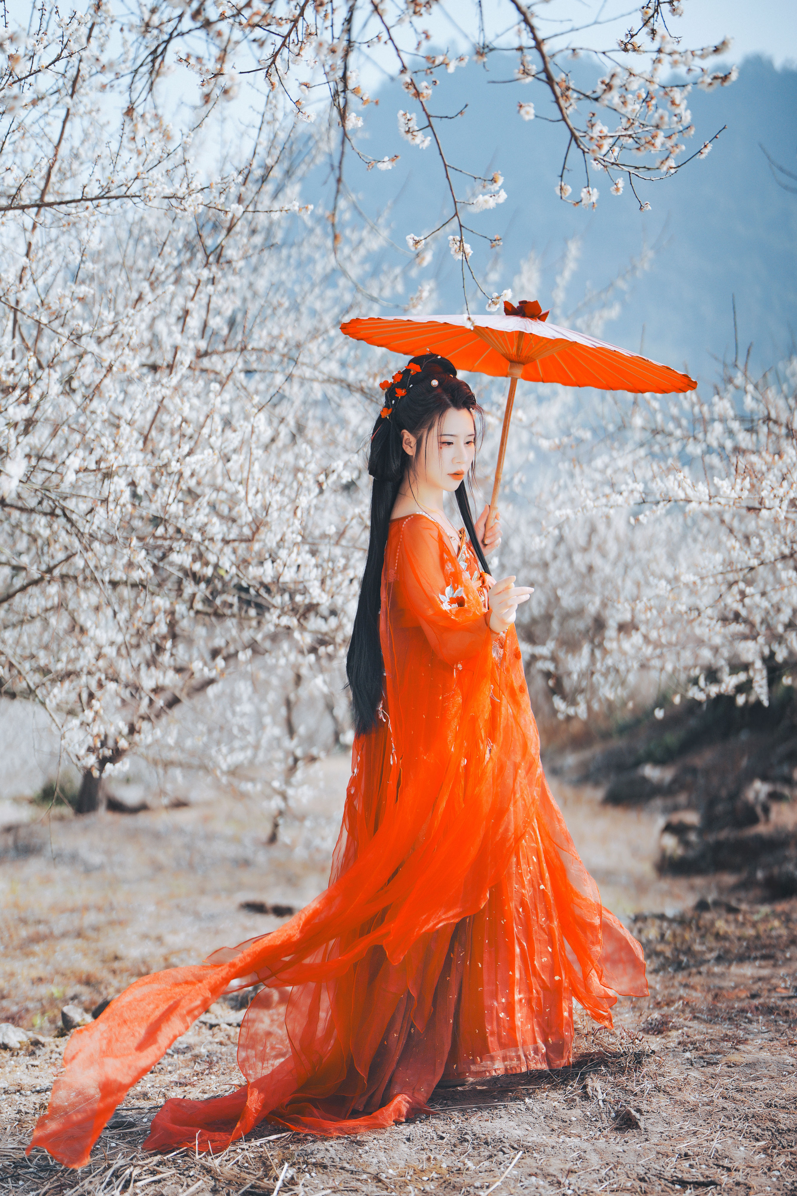 梅花古风人像拍摄