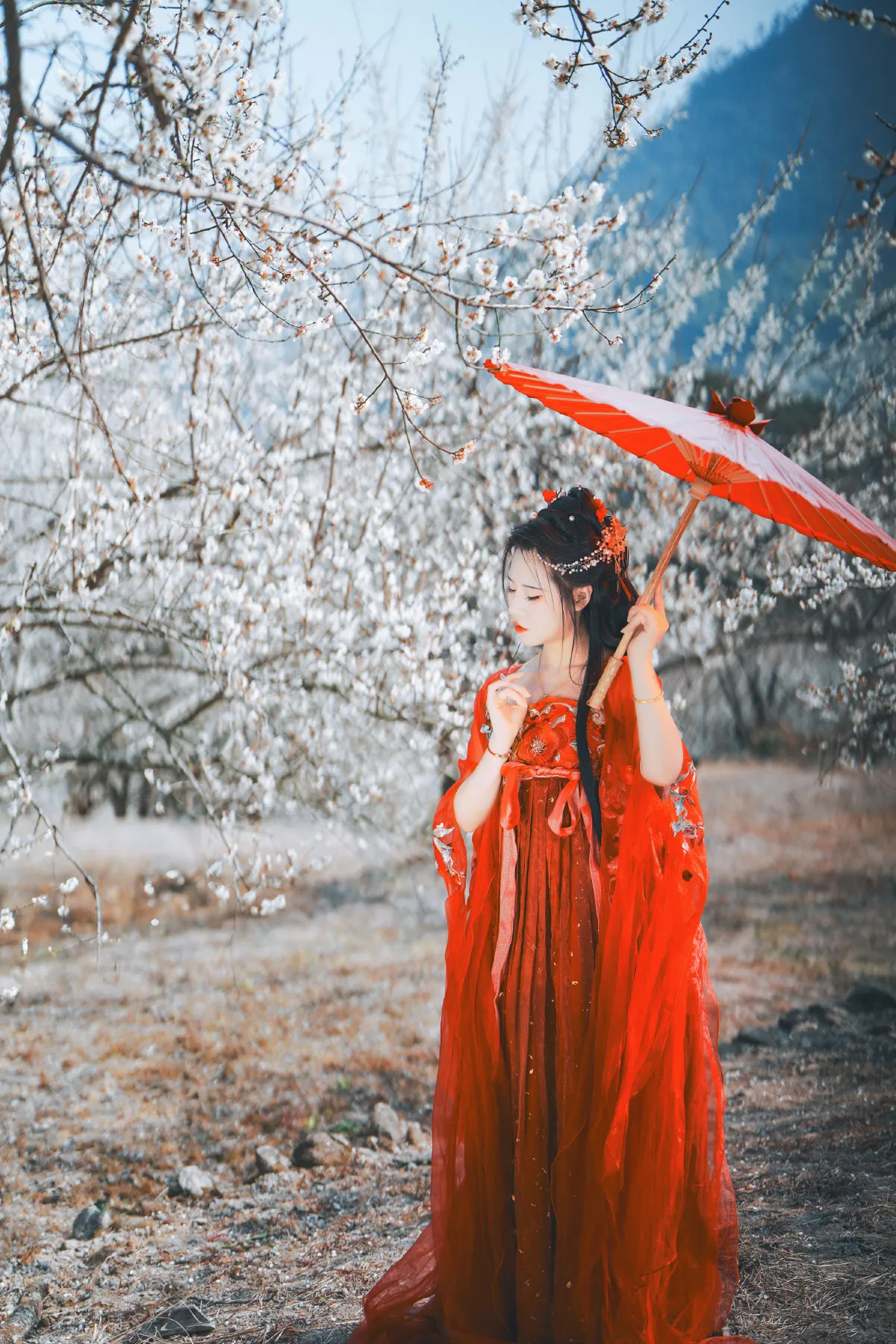 梅花古风人像拍摄