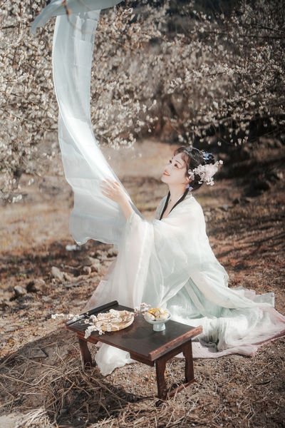 梅花古风人像拍摄