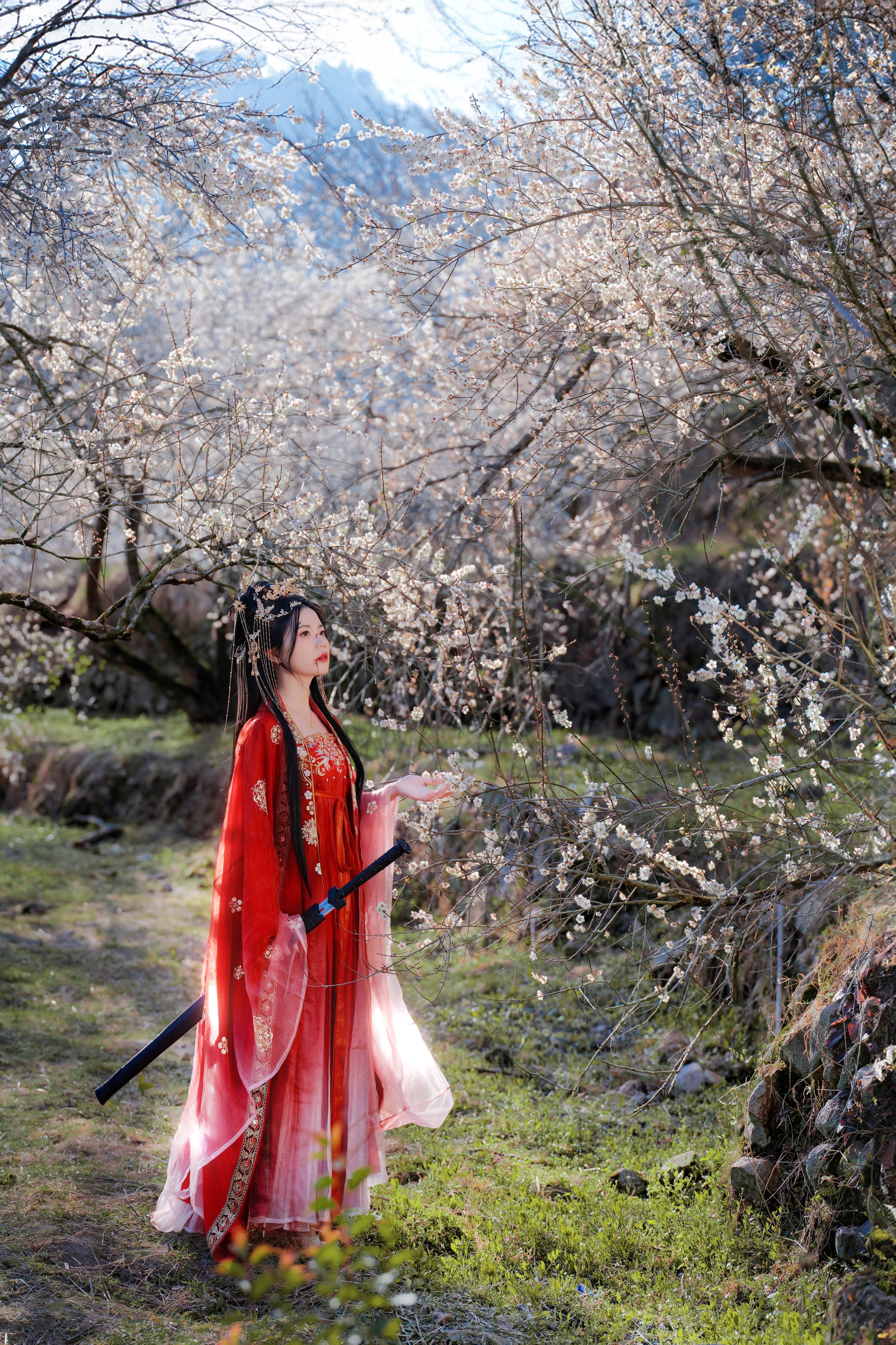 梅花古风人像拍摄
