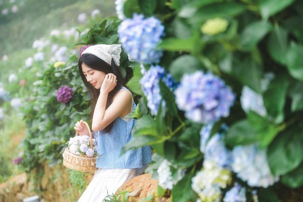 日系人像拍摄-绣球花