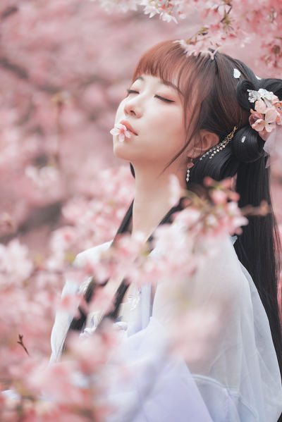 古风人像拍摄-樱花-陌上花开