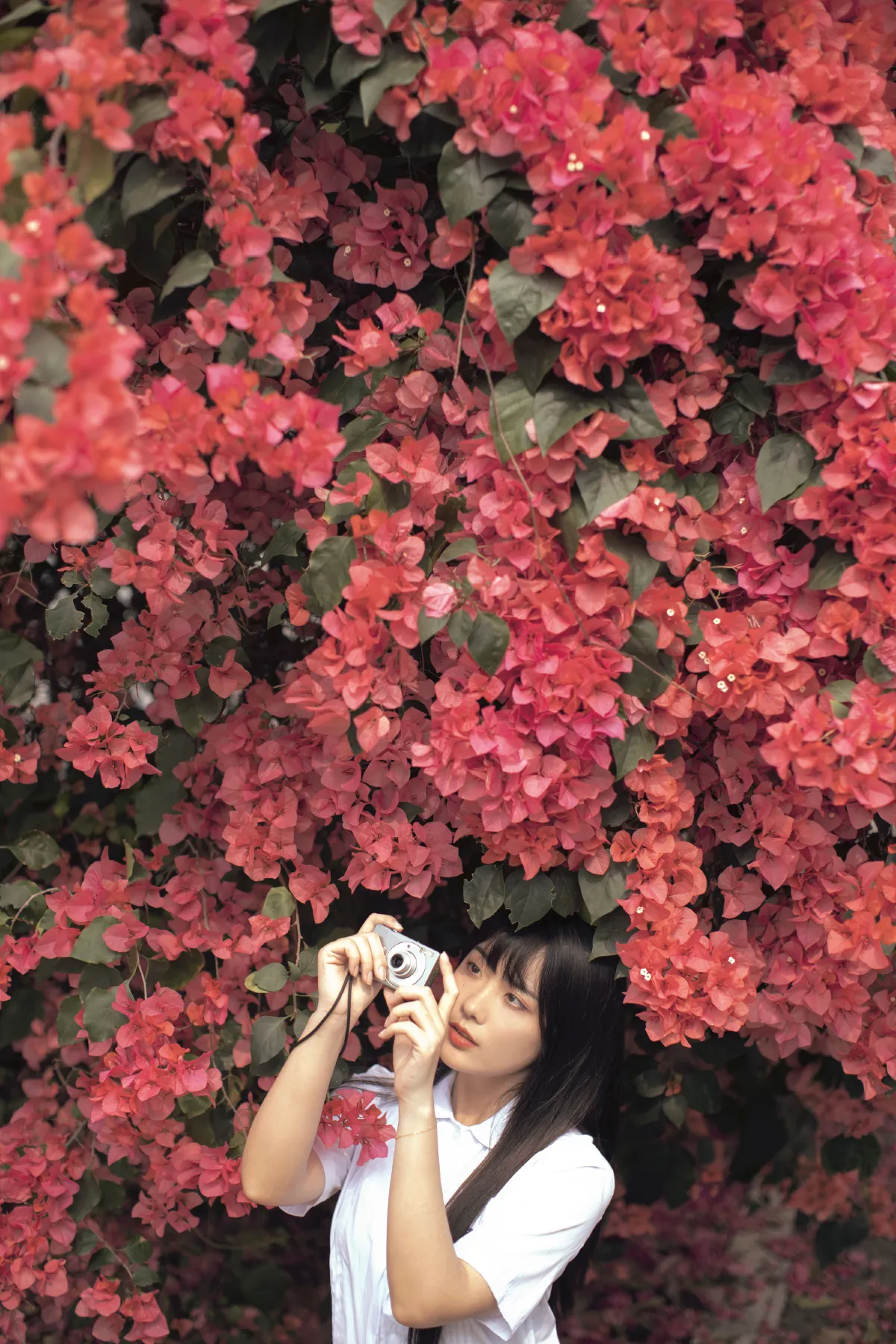 花季