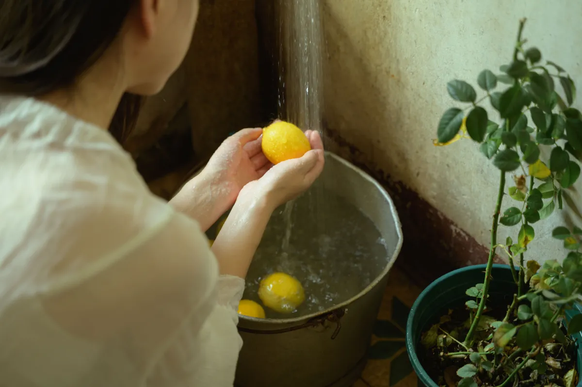 夏天的尾巴1