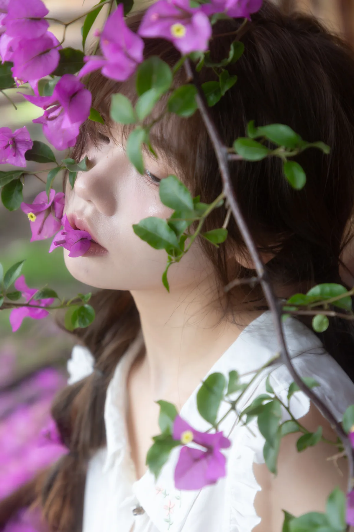 夏日旧梦1
