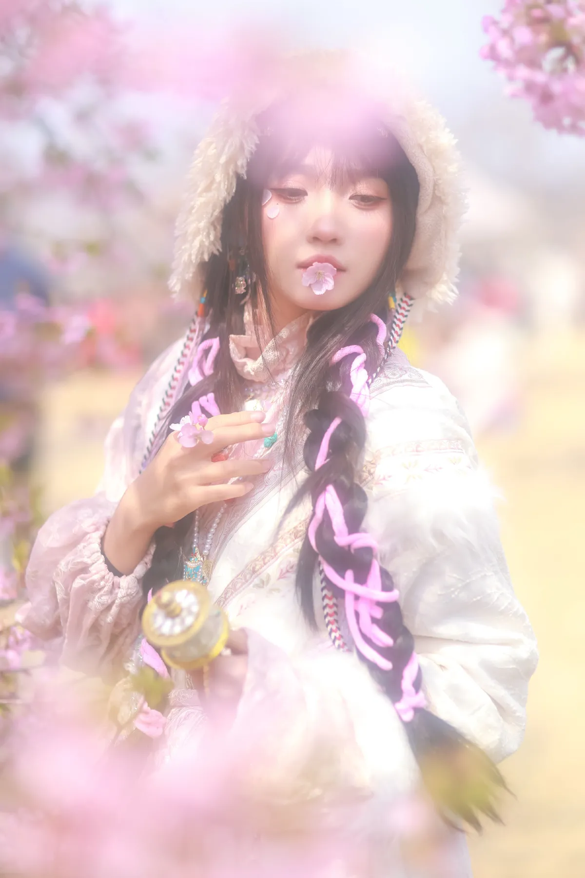 藏族少女の樱海2