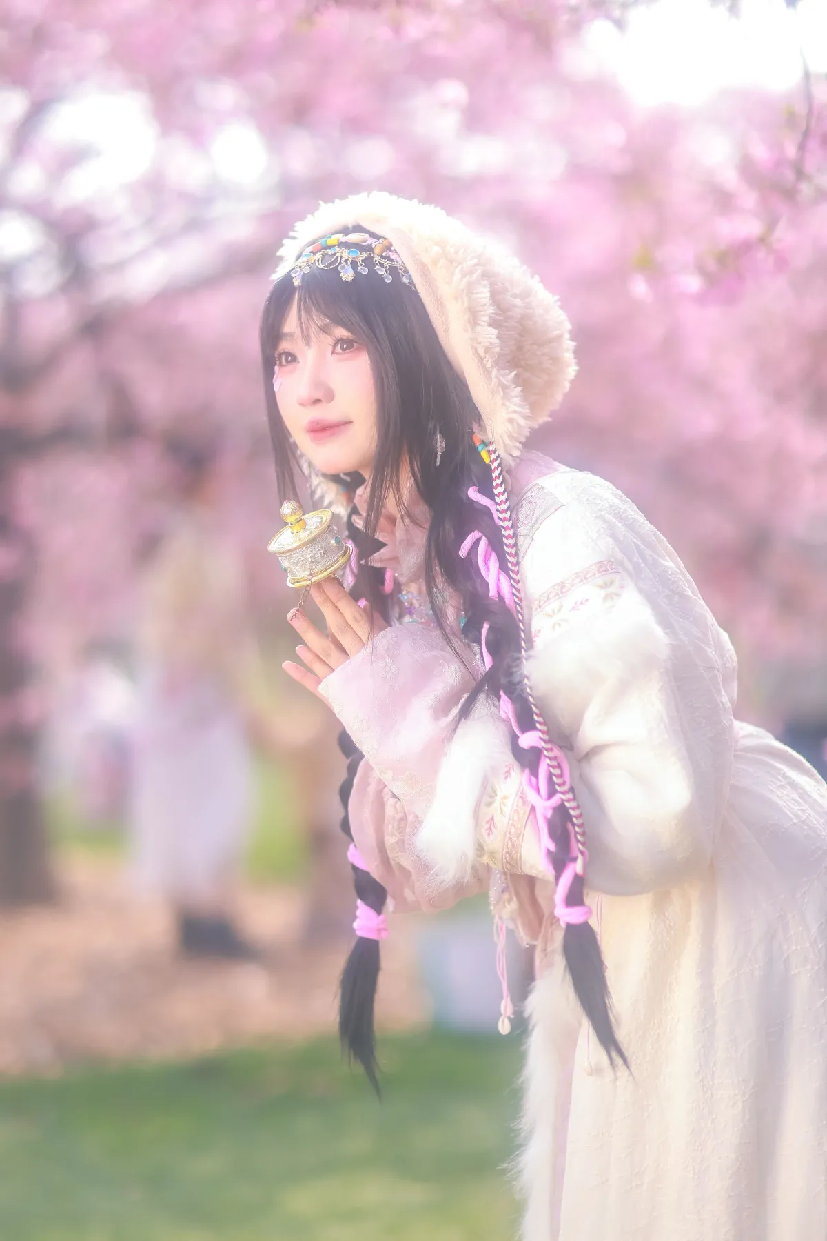 藏族少女の樱海3