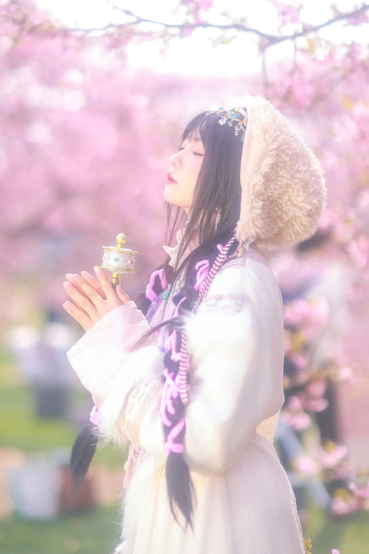 藏族少女の樱海5