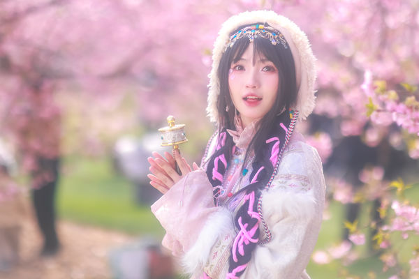 藏族少女の樱海