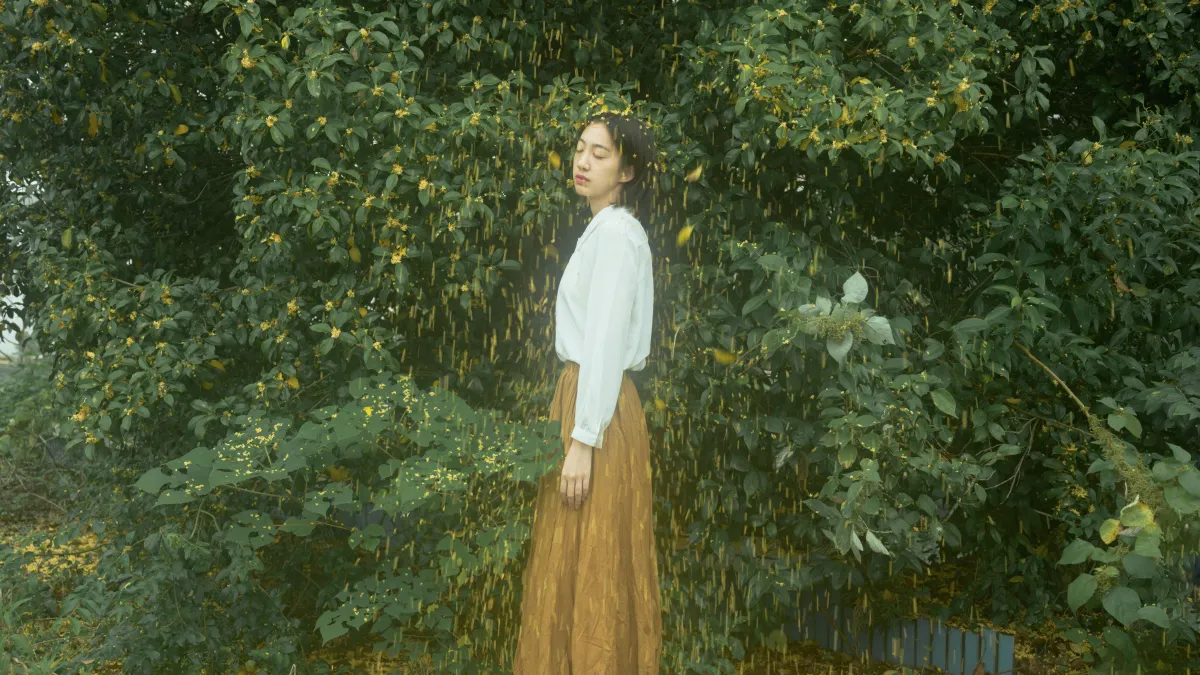 麦田晨雾2