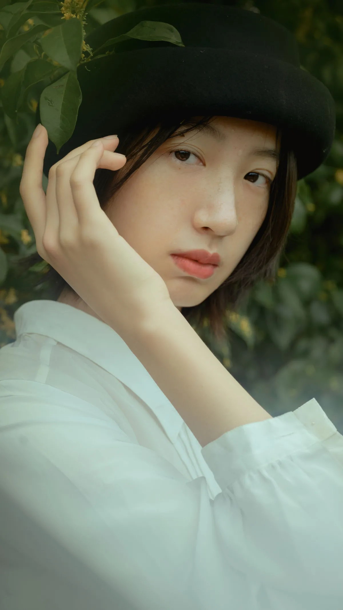 麦田晨雾4