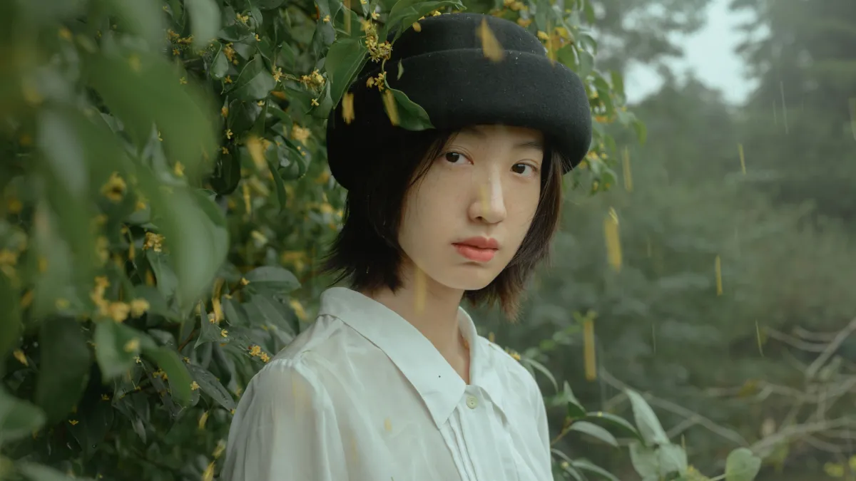 麦田晨雾5
