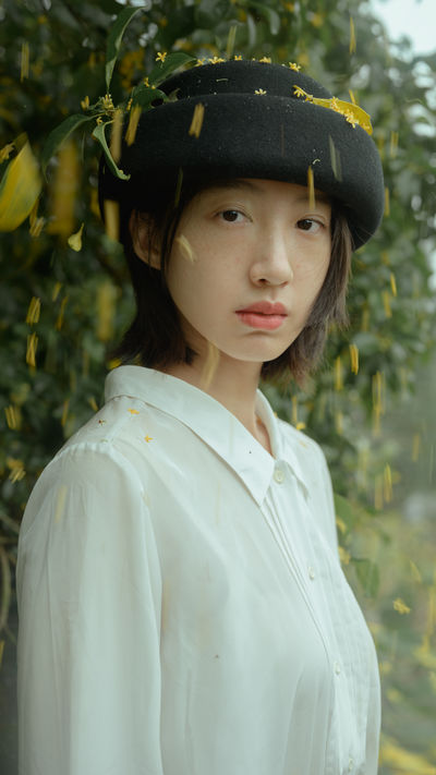麦田晨雾