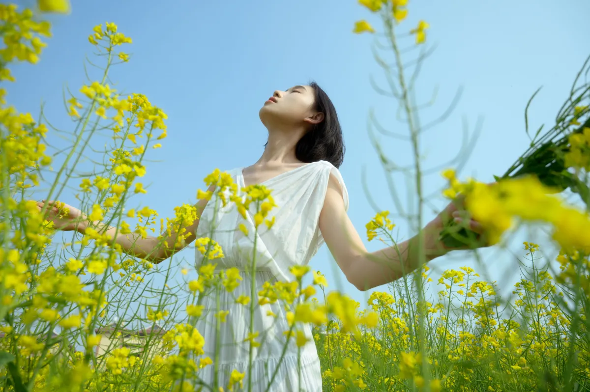 蝴蝶与油菜花2