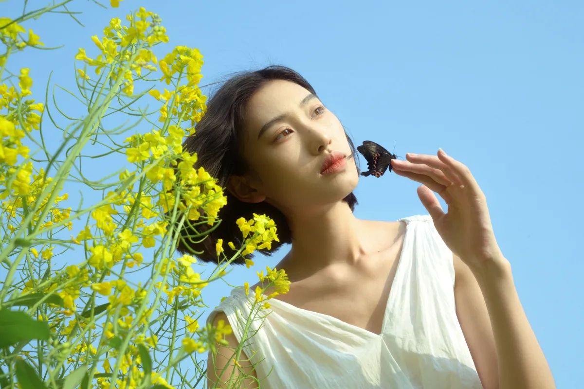 蝴蝶与油菜花5