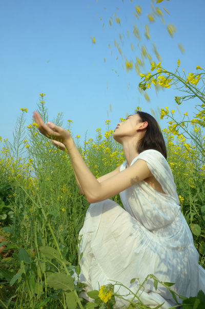 蝴蝶与油菜花