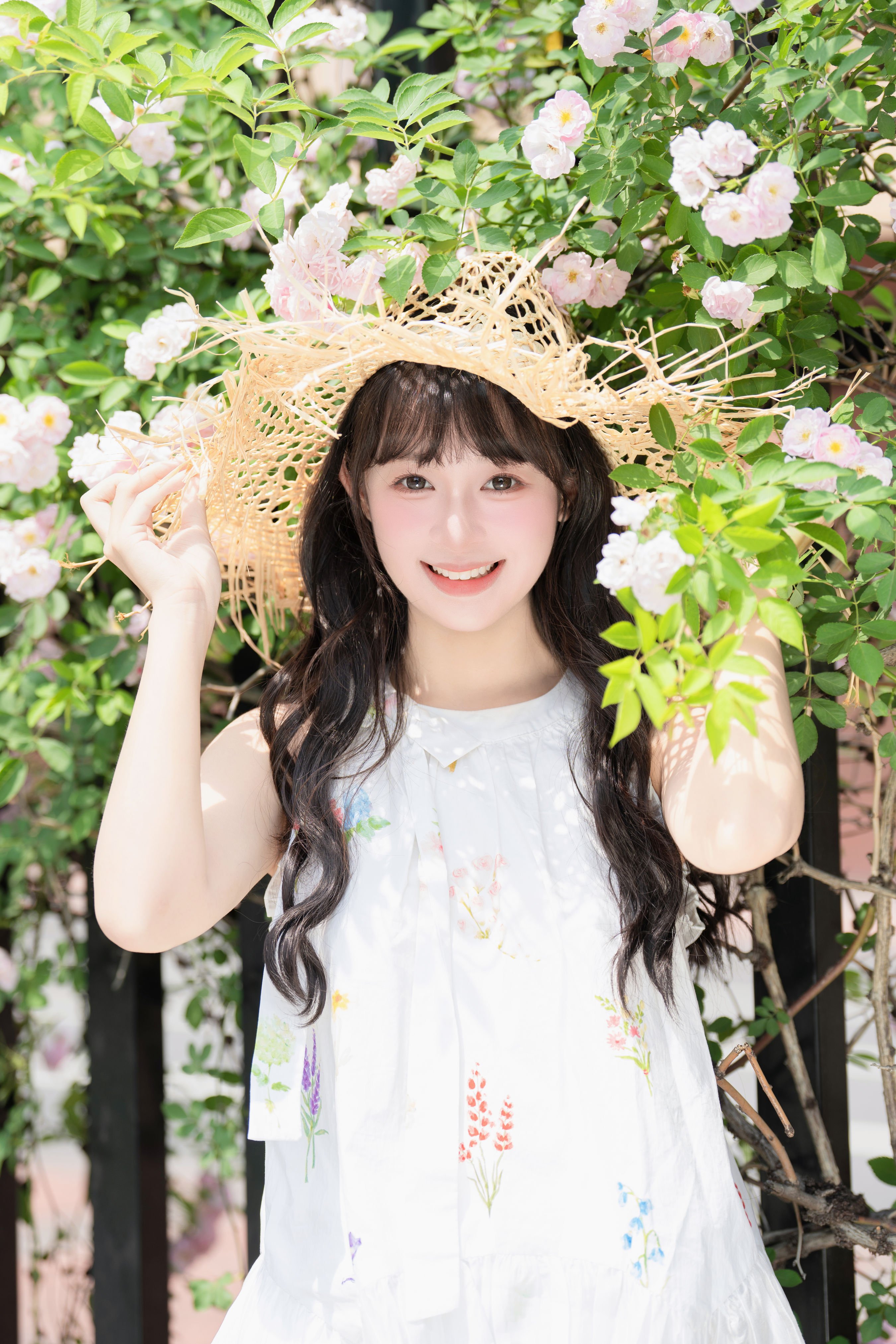 蔷薇花开1