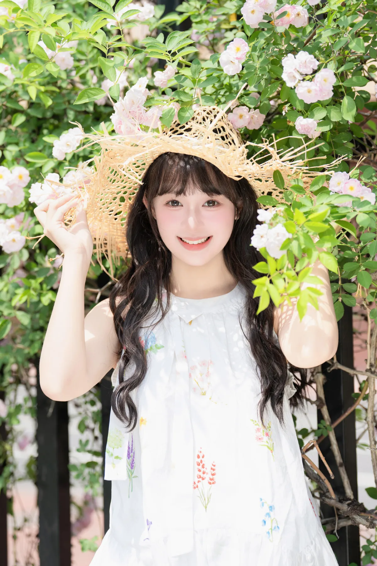 蔷薇花开1