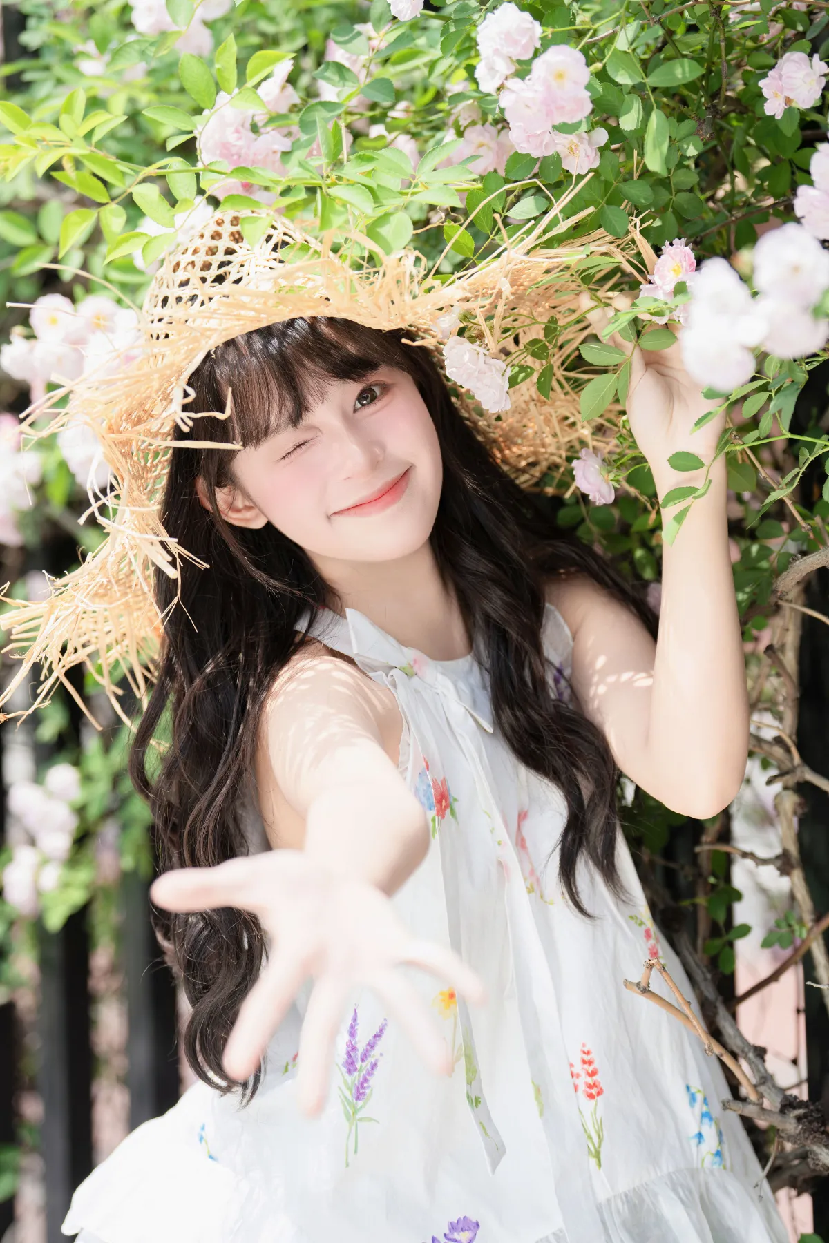 蔷薇花开2