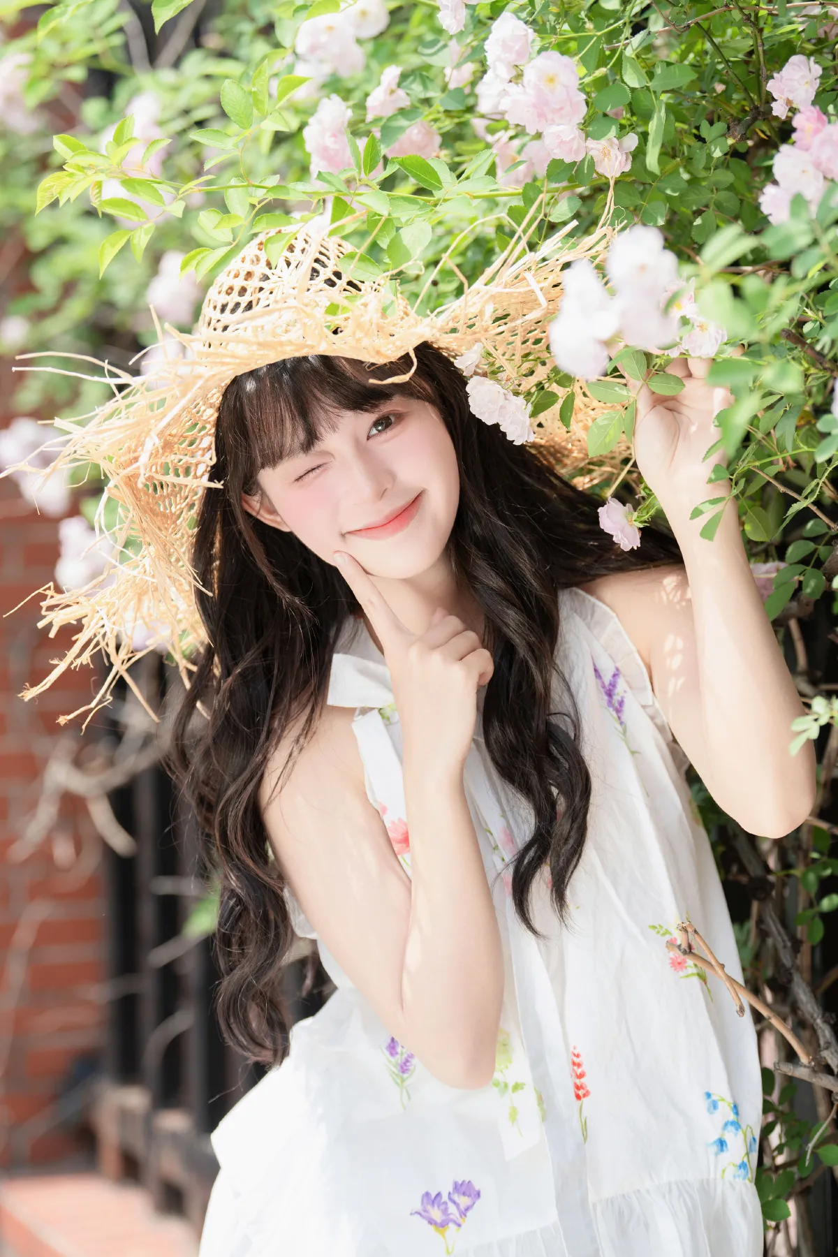 蔷薇花开3