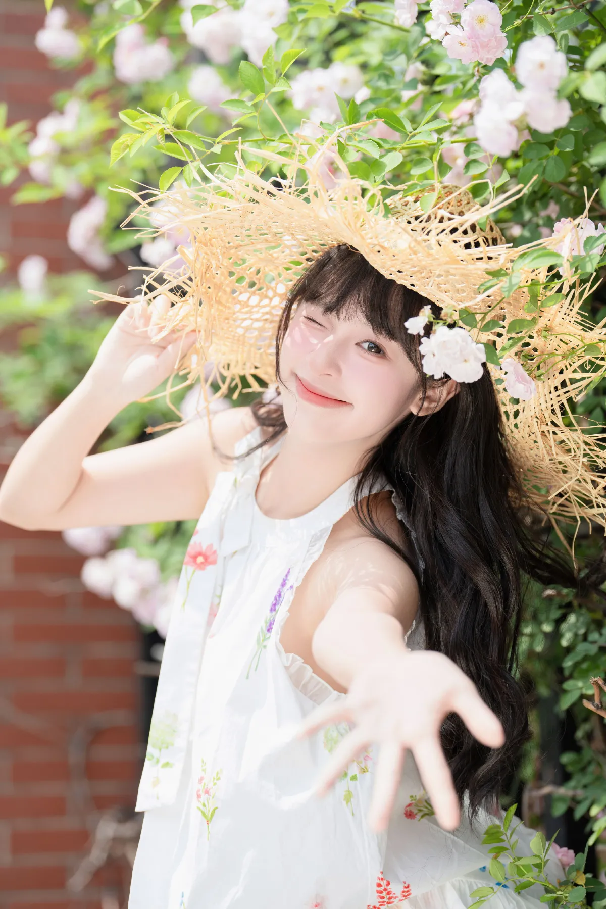 蔷薇花开4