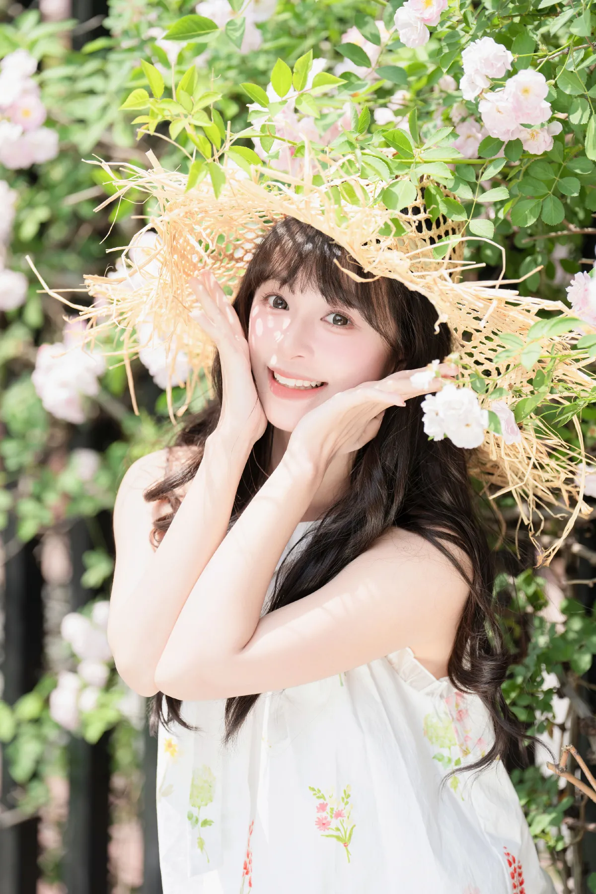 蔷薇花开5
