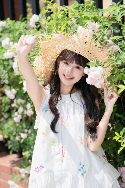 蔷薇花开