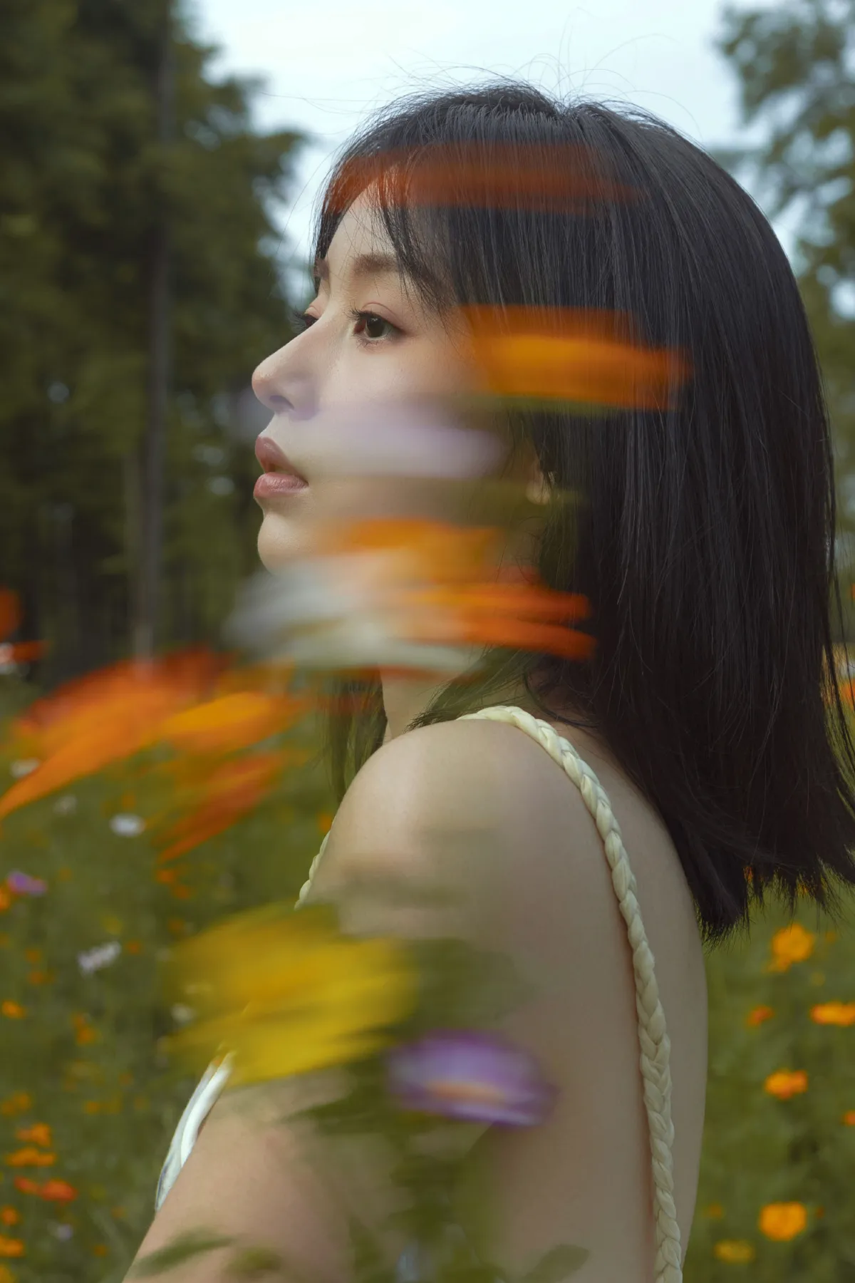 如花在野