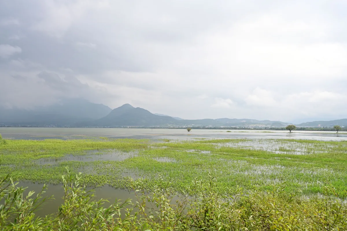 拉市海湿地公园5
