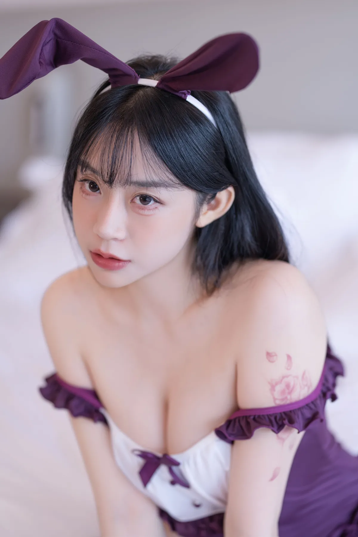紫调兔耳，邂逅温柔2