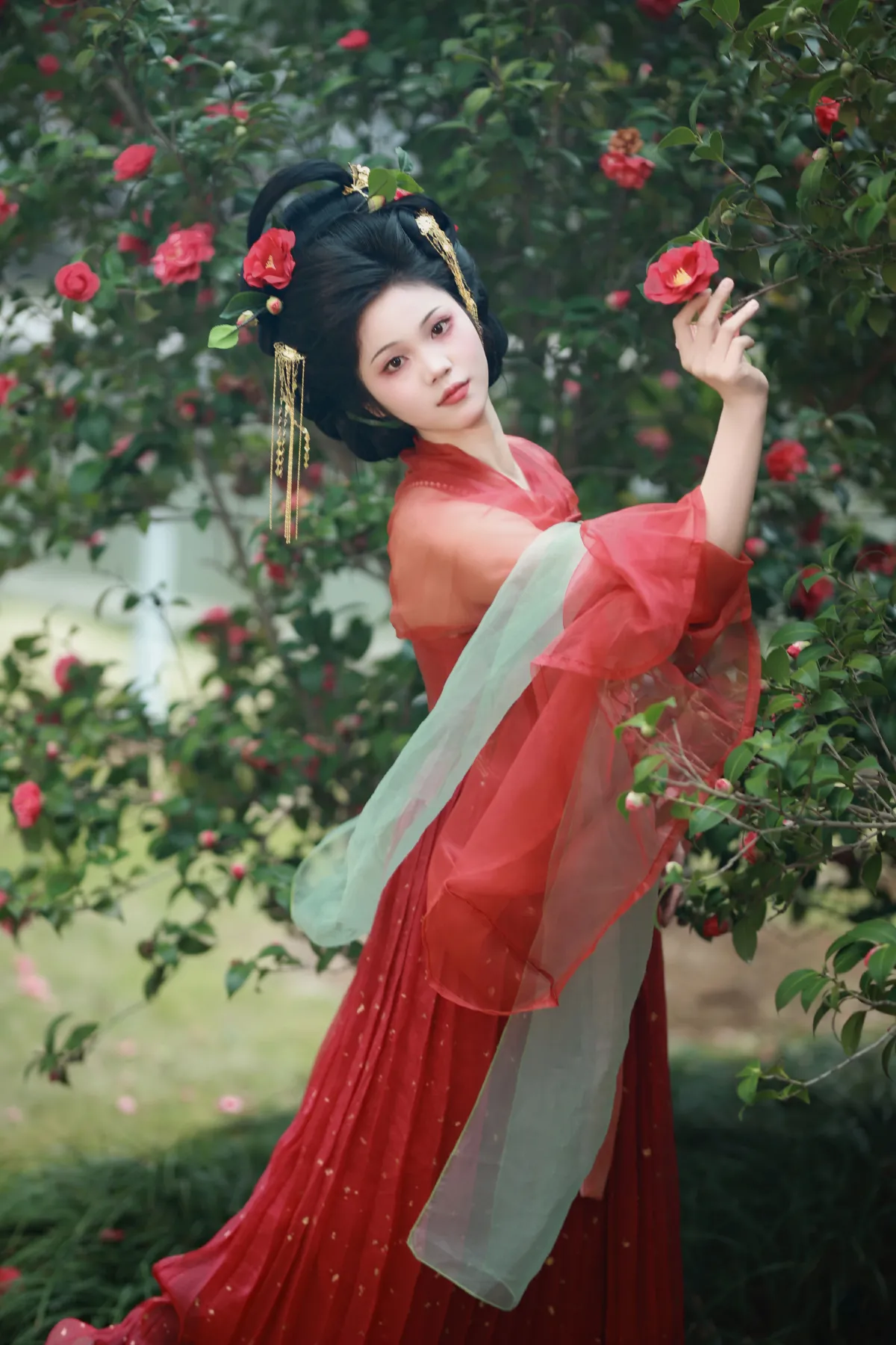 茶花与花魁1