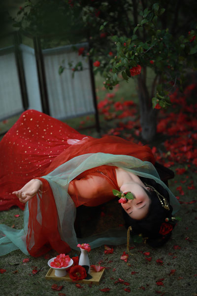 茶花与花魁