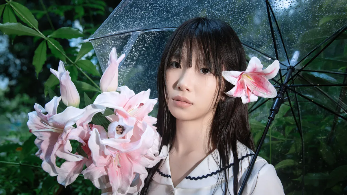 你是常年大雨但不溃烂的森林2