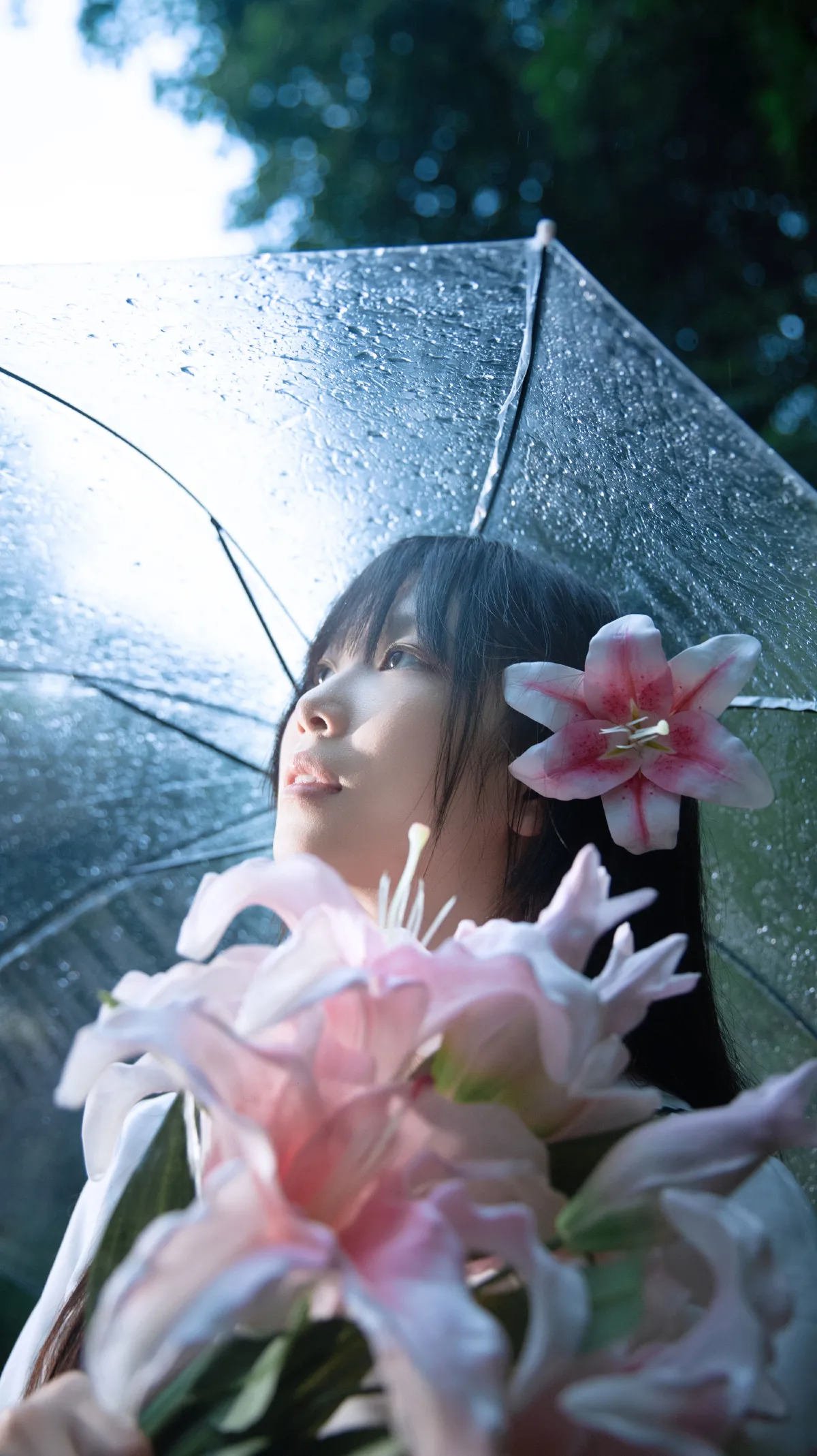 你是常年大雨但不溃烂的森林5