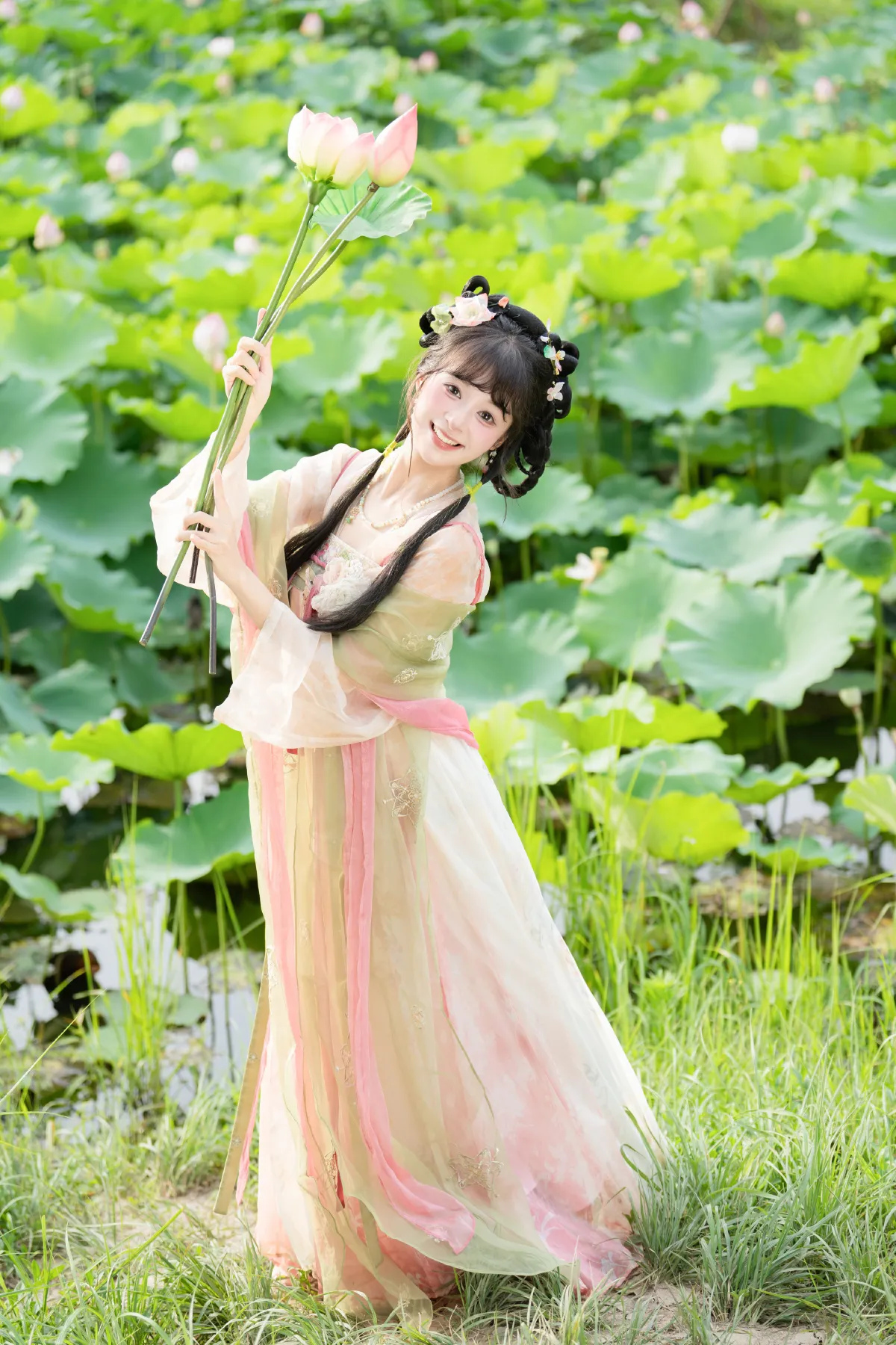 荷花仙子1