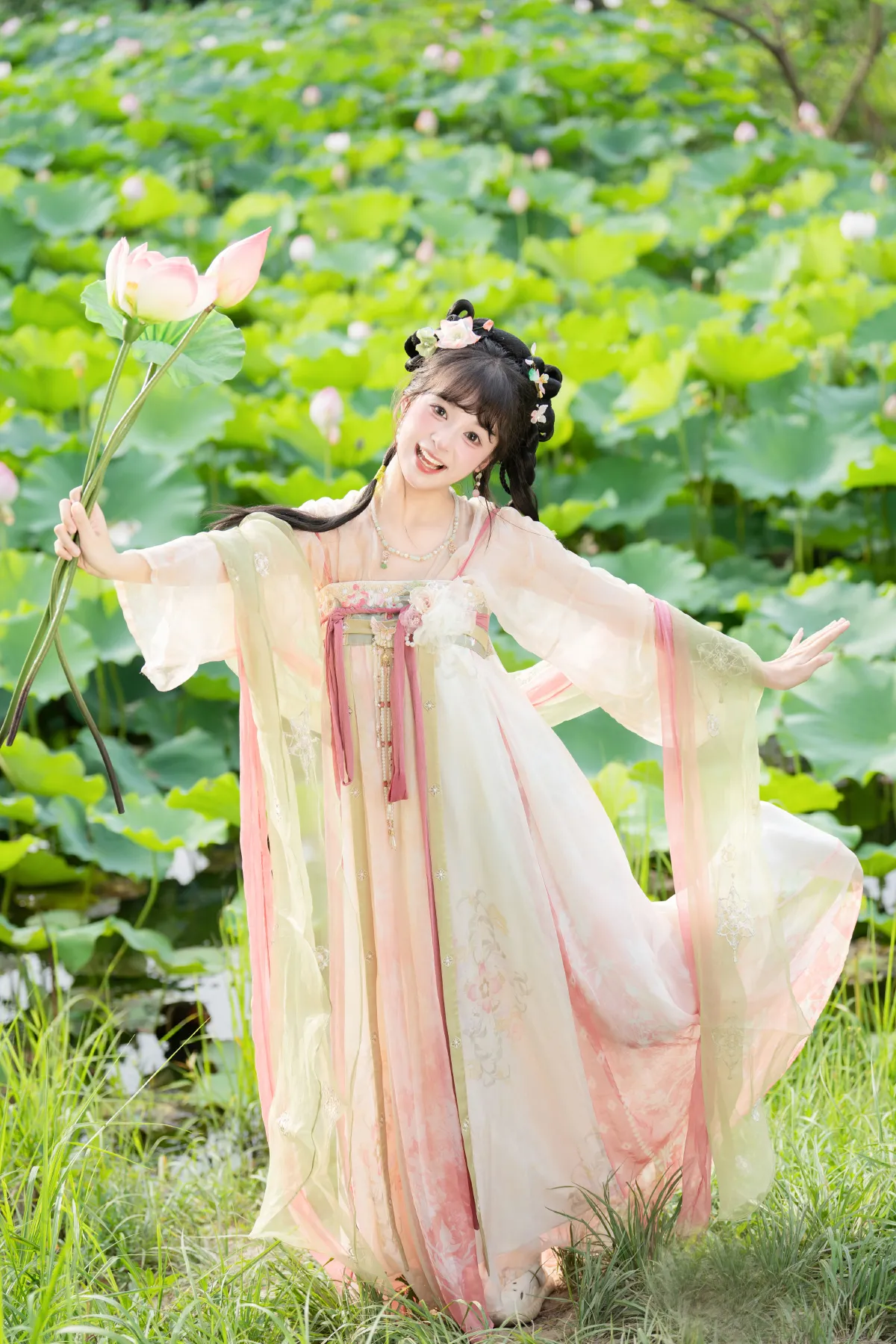荷花仙子4