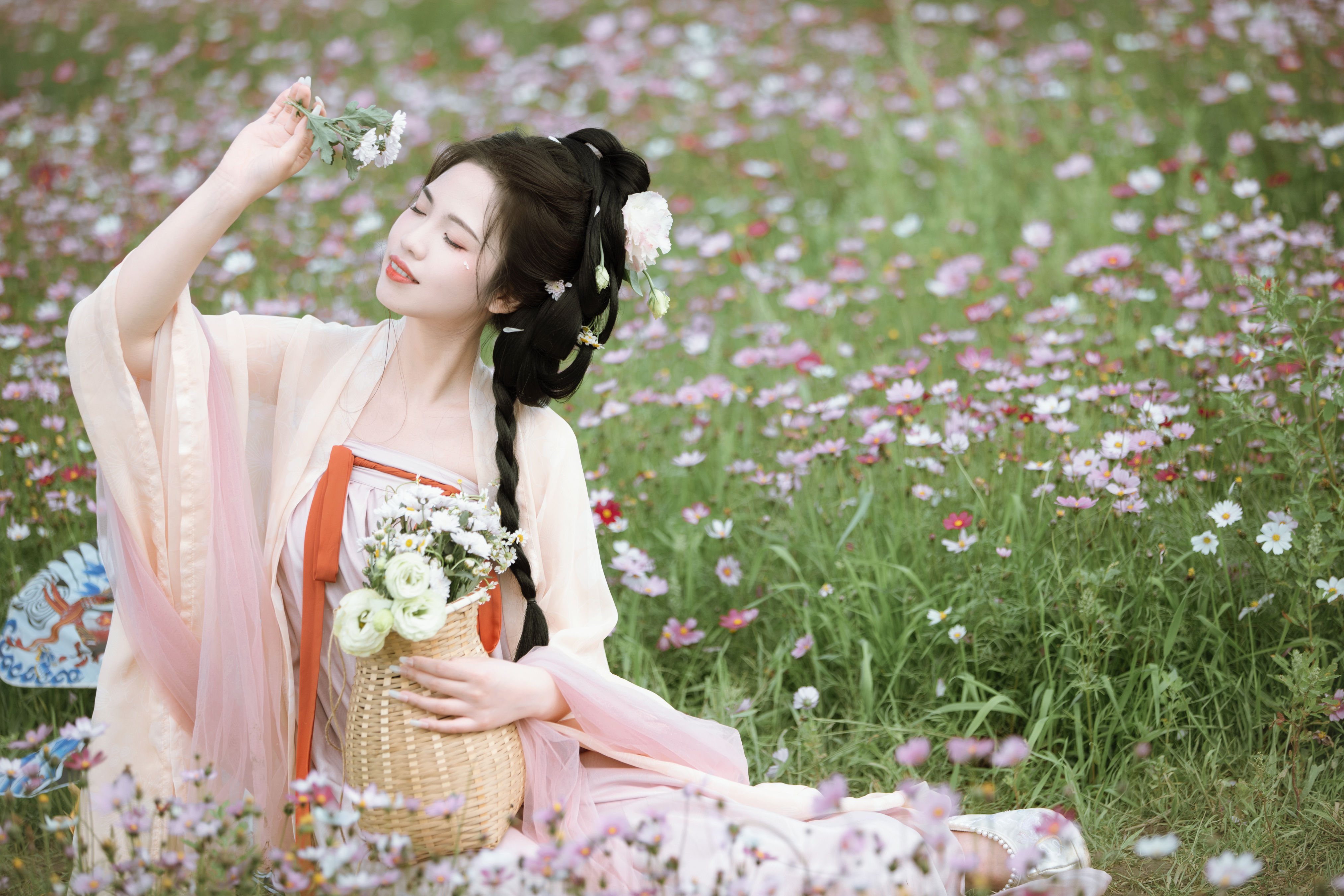 格桑花海1