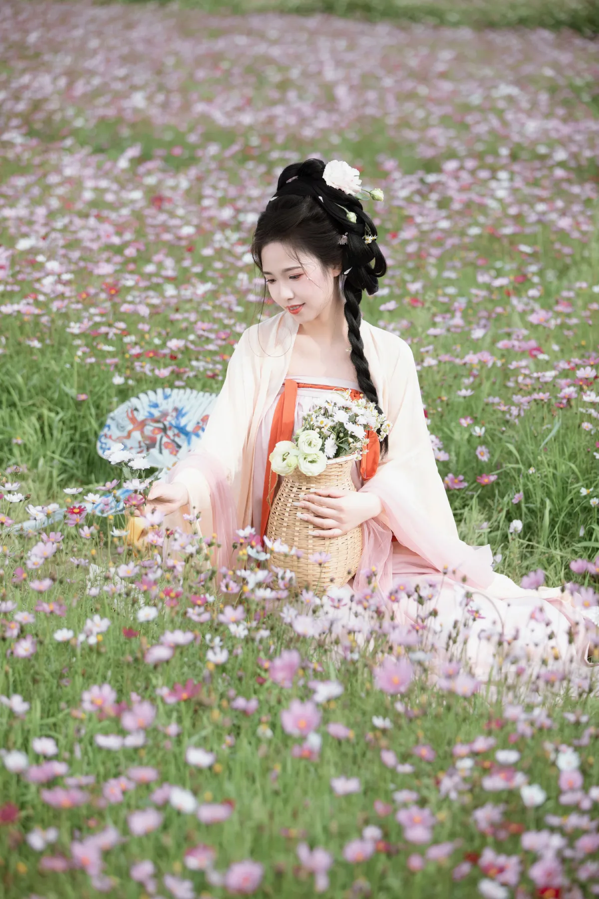 格桑花海2