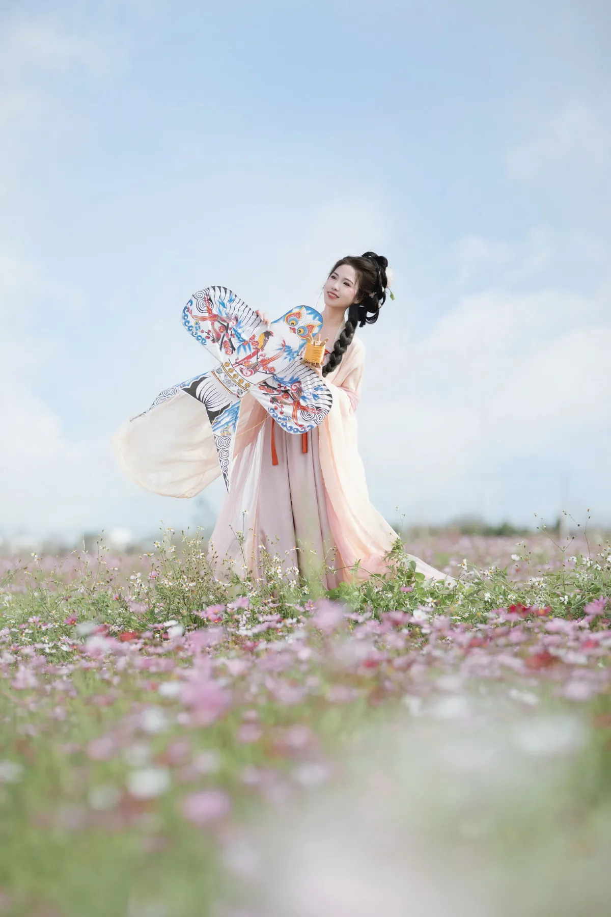格桑花海5