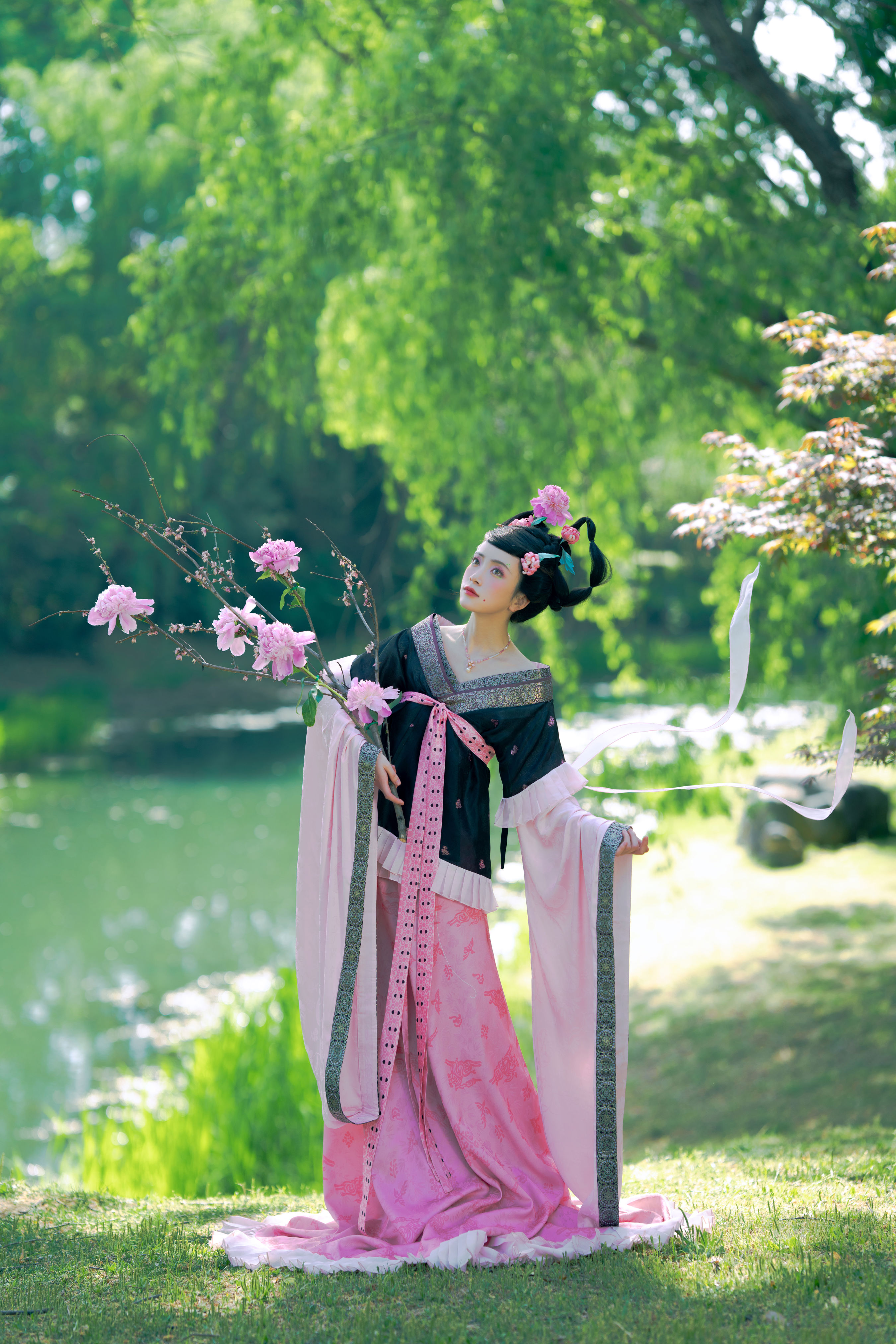 倾杯序——芍药1
