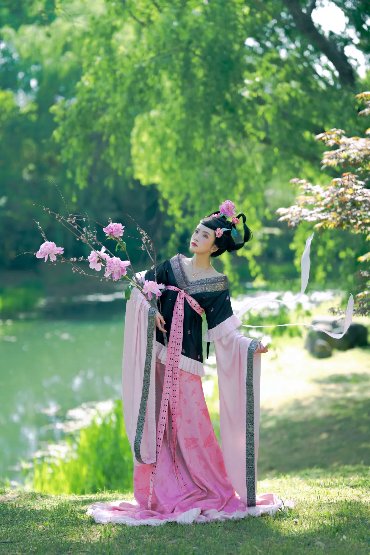 倾杯序——芍药1