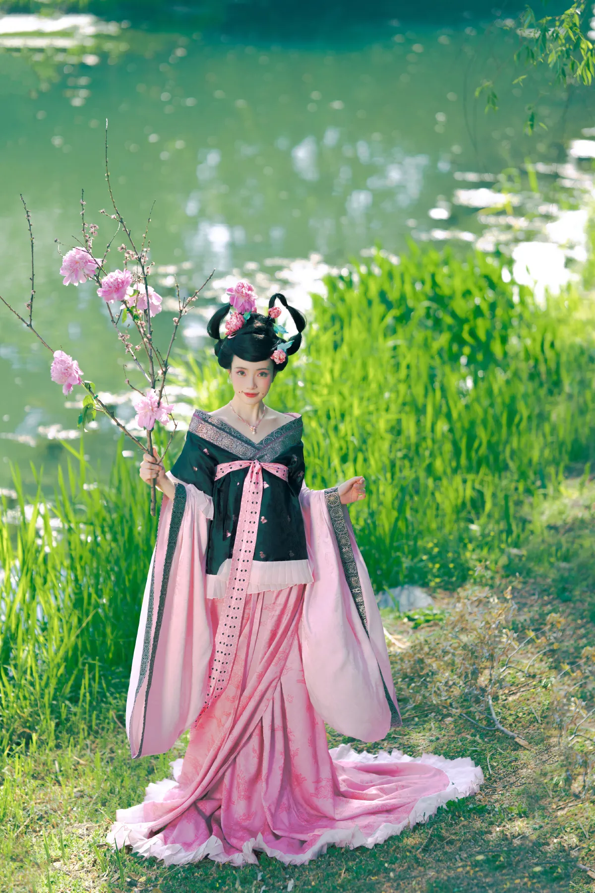 倾杯序——芍药4