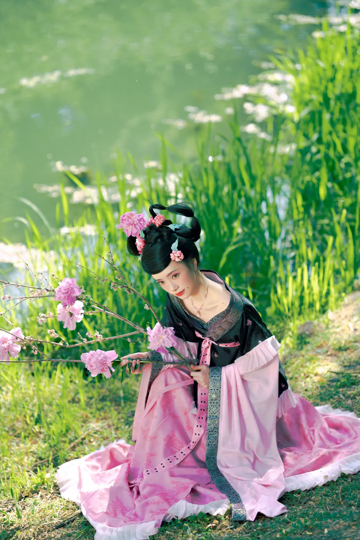 倾杯序——芍药5