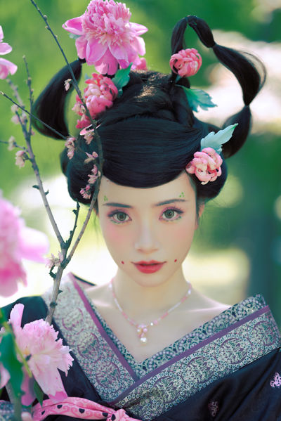 倾杯序——芍药