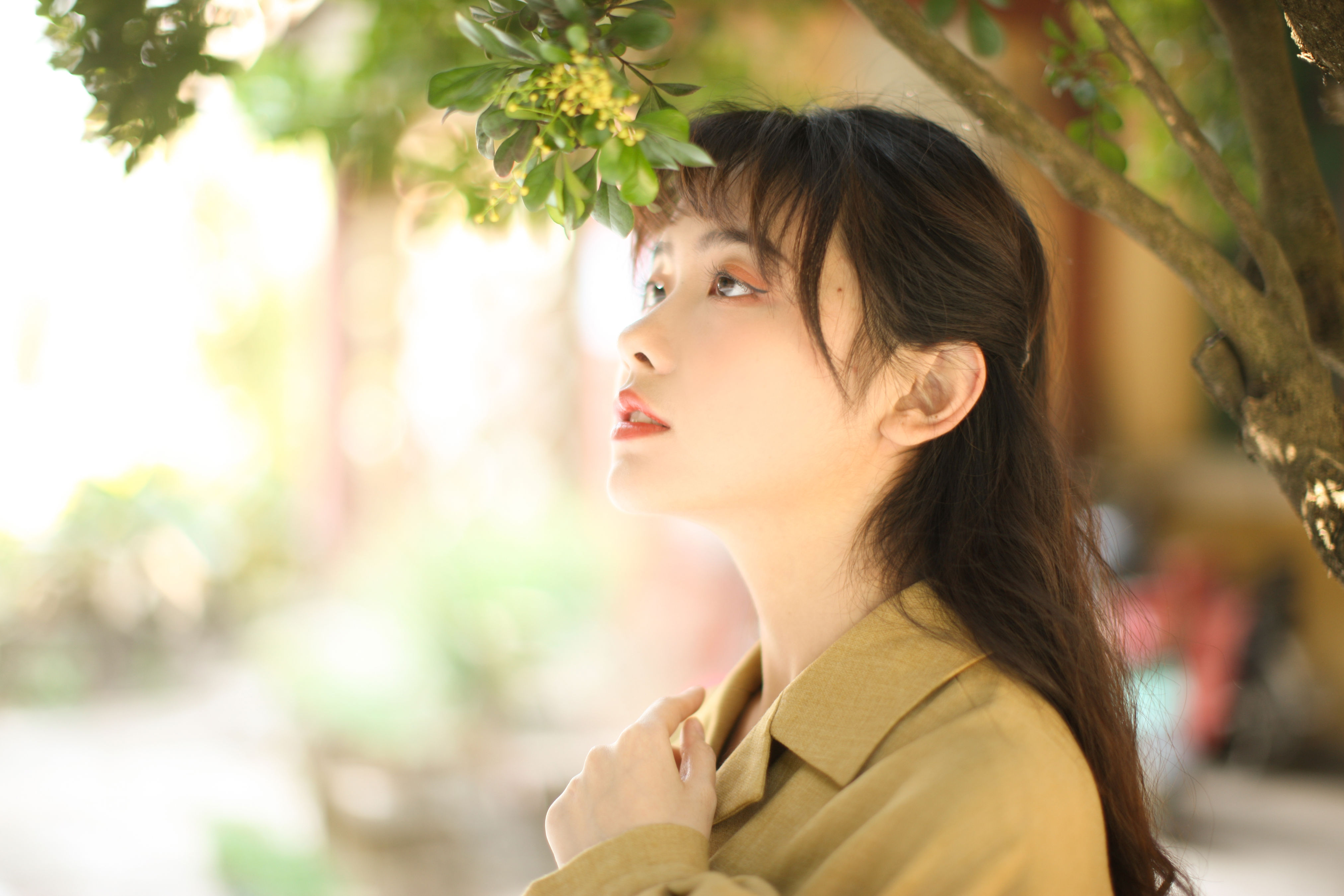 花样年华