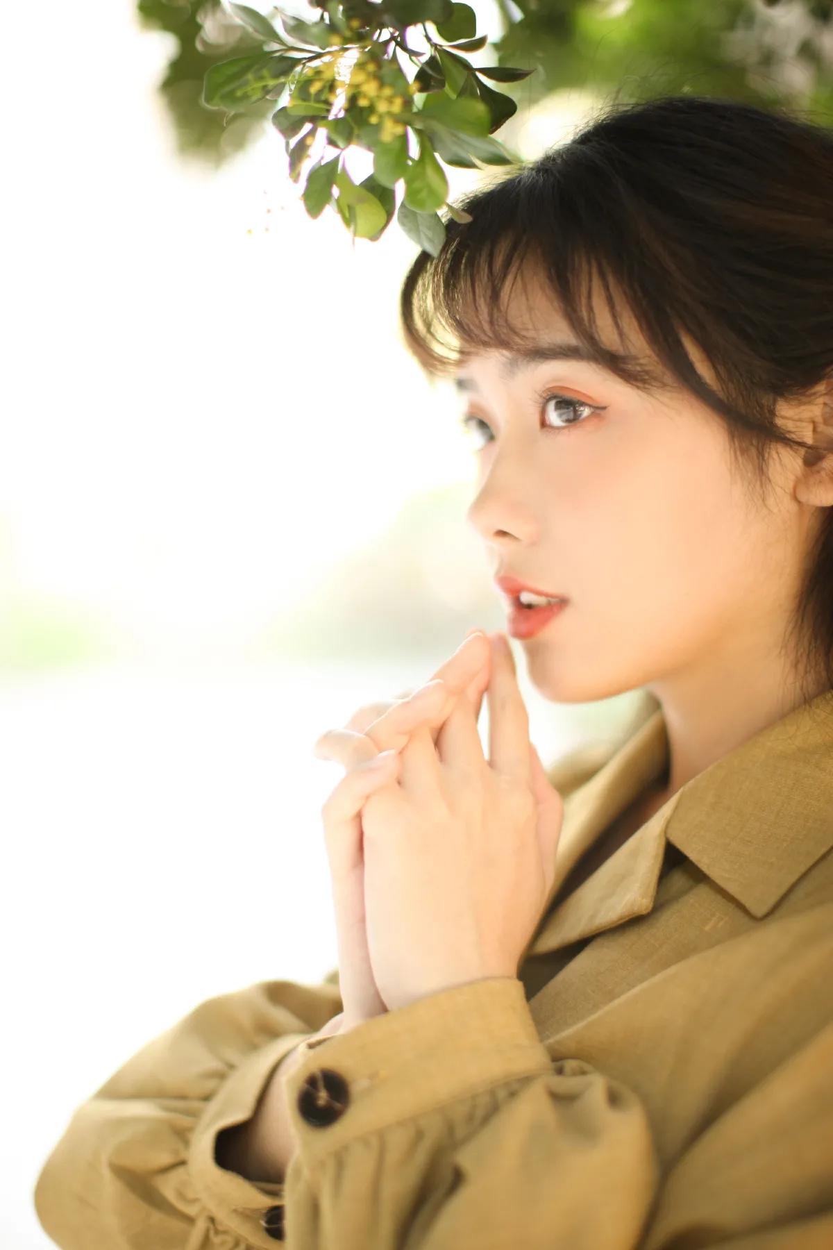 花样年华2