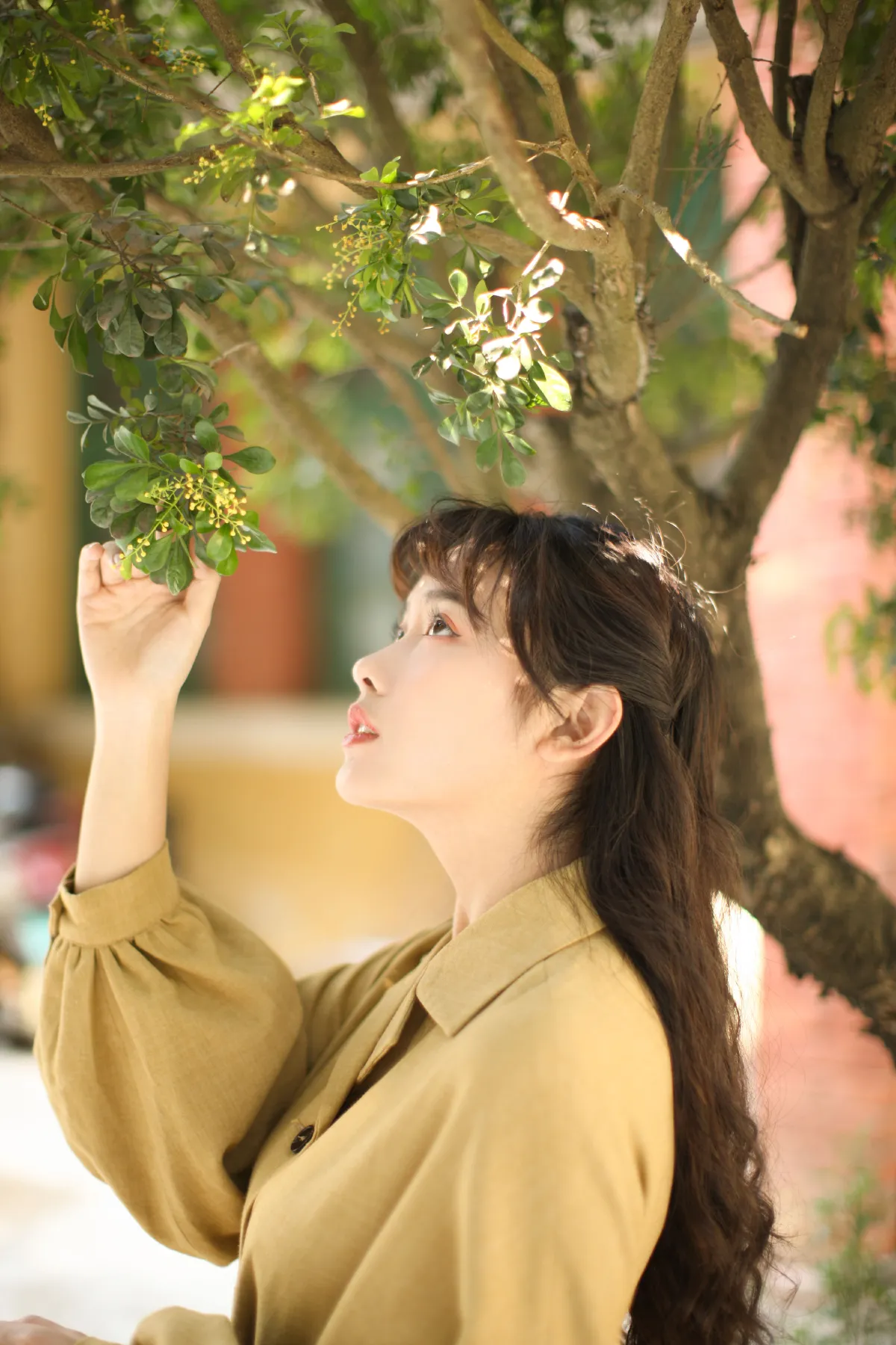 花样年华