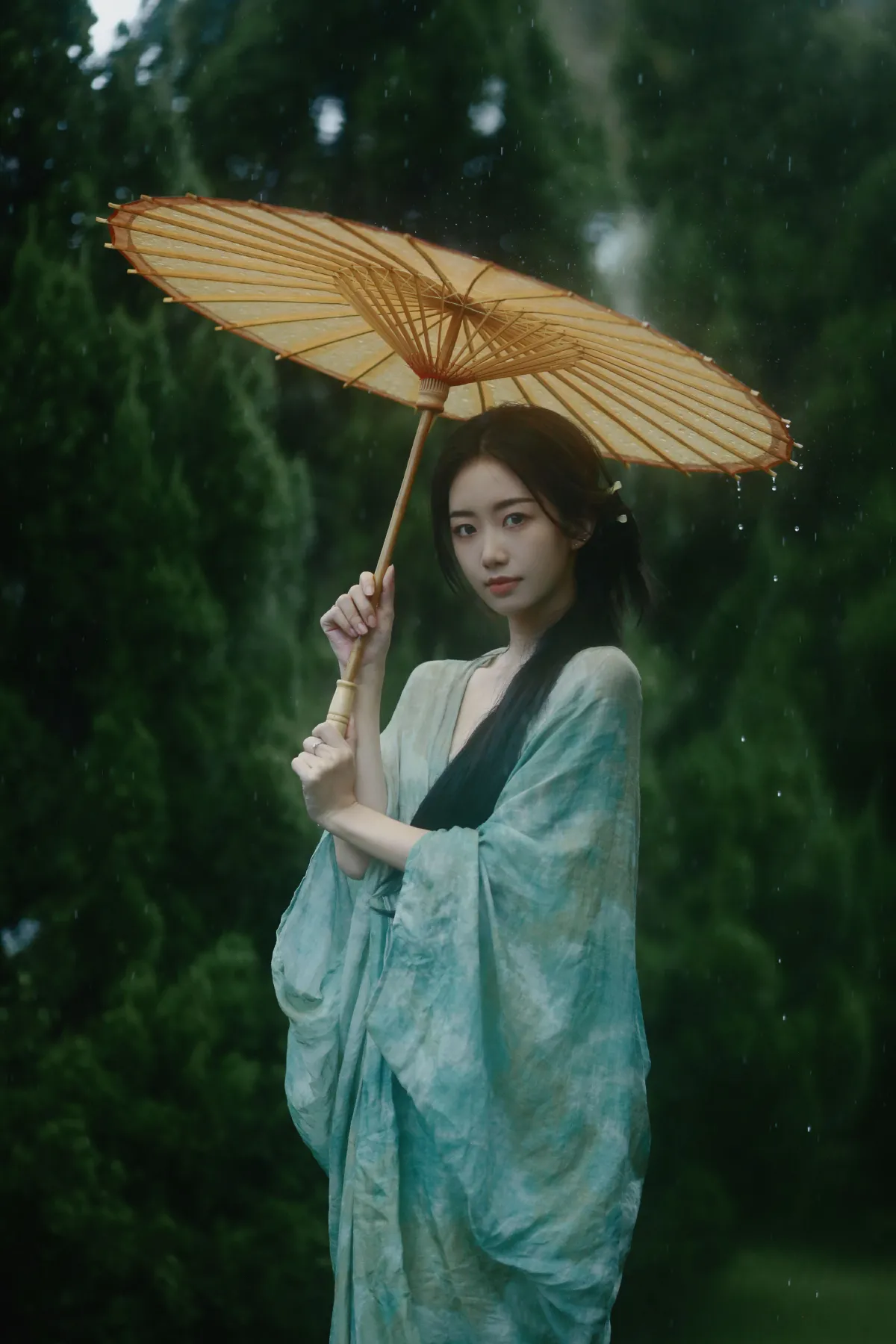 杨柳提，远方烟雨4