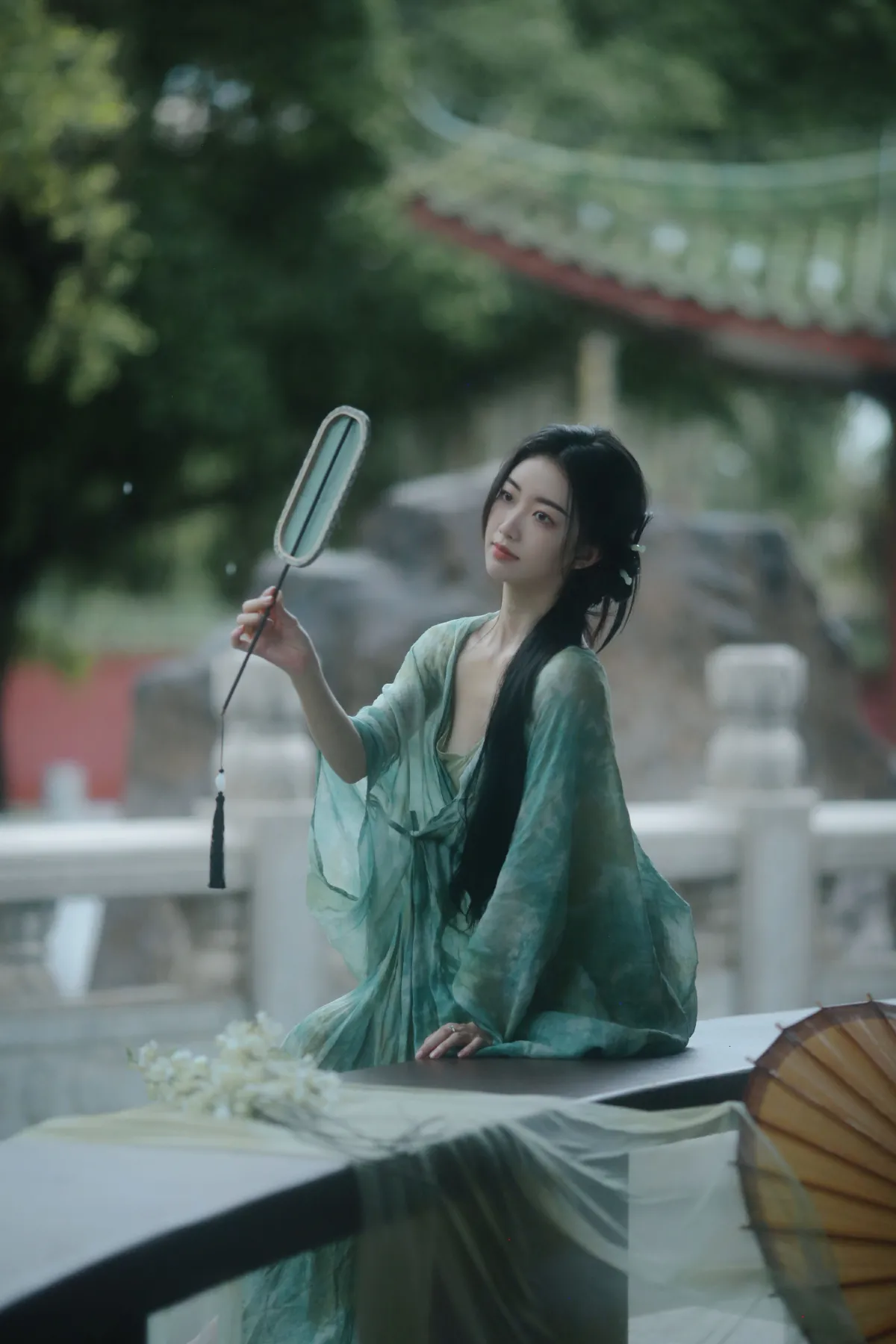 杨柳提，远方烟雨5
