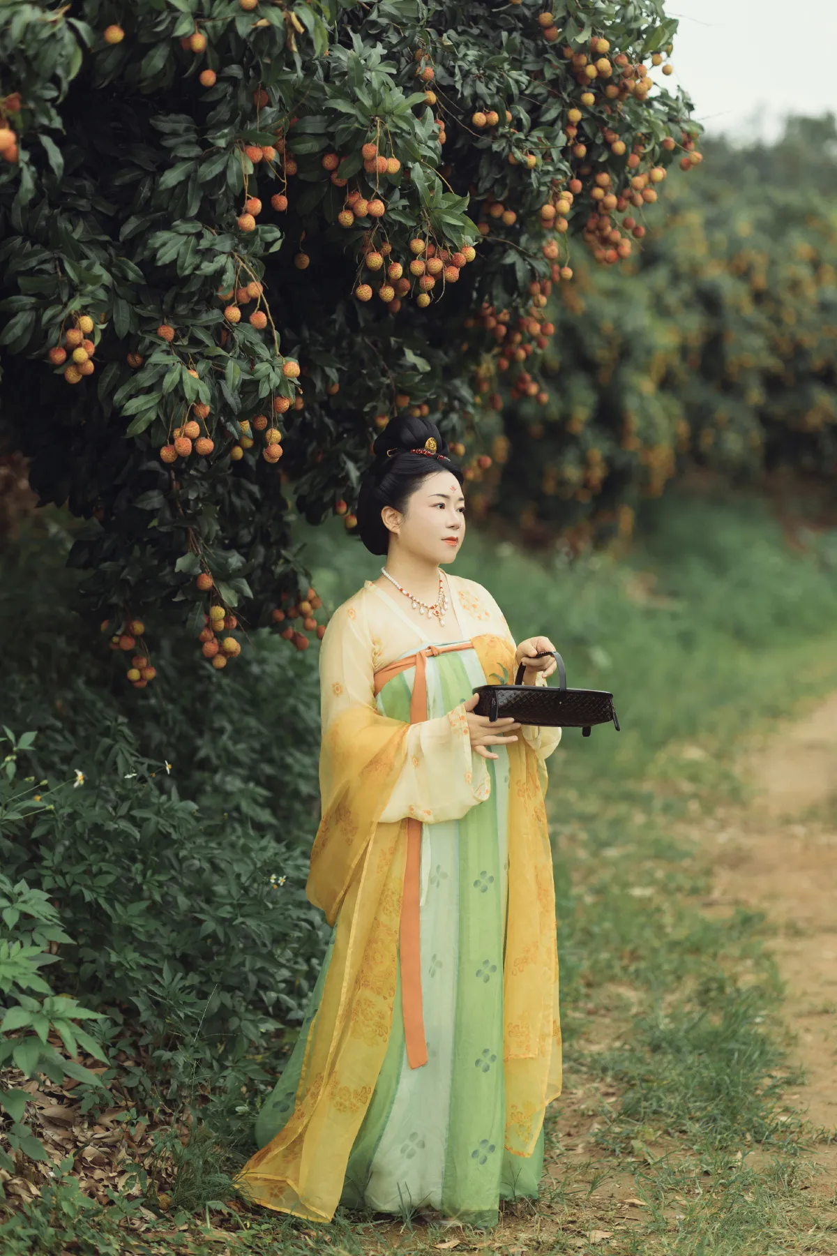 荔枝香3